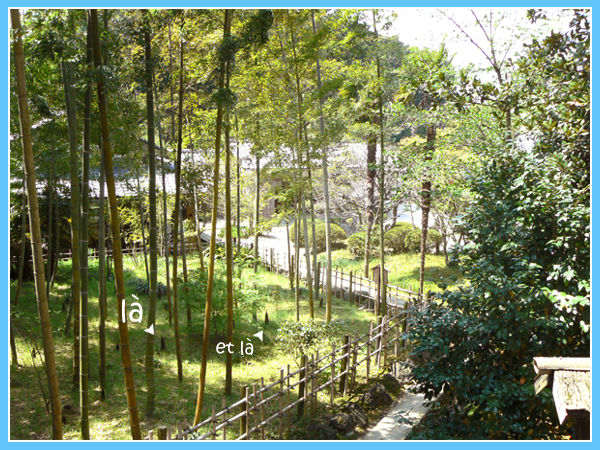 sexe gratuit japonaise